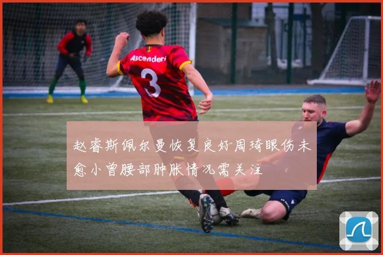 赵睿斯佩尔曼恢复良好周琦眼伤未愈小曾腰部肿胀情况需关注