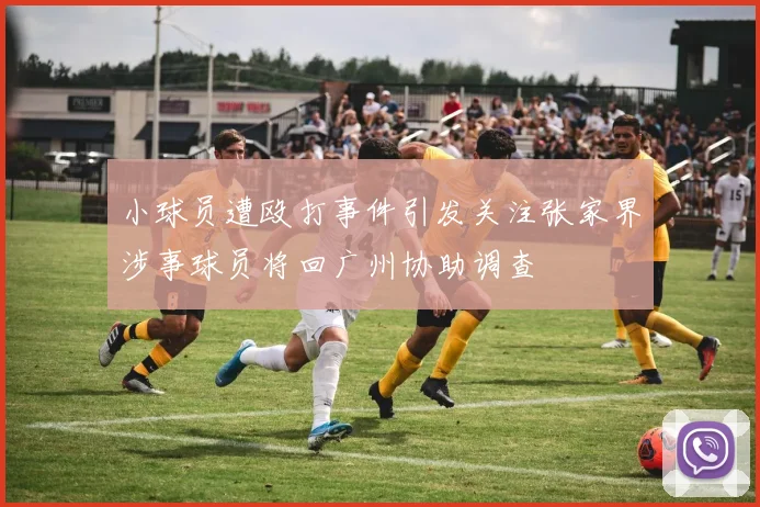 小球员遭殴打事件引发关注张家界涉事球员将回广州协助调查